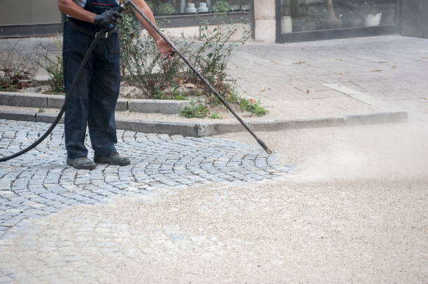Animal Enclosure Cleaning in Beaverton, OR